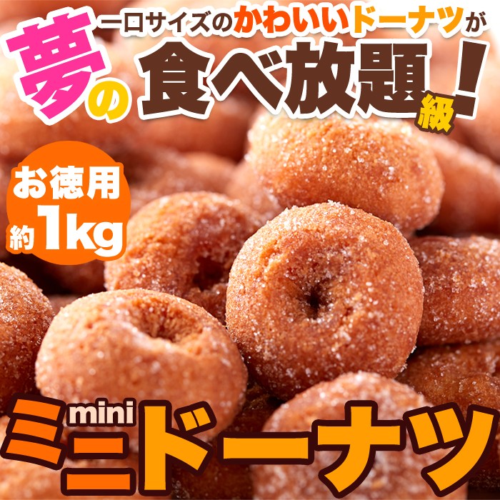 【ネット販売限定商品】みんな大好き!一口サイズのドーナツが夢の食べ放題級!!ミニドーナツ1kg(250g×4袋)